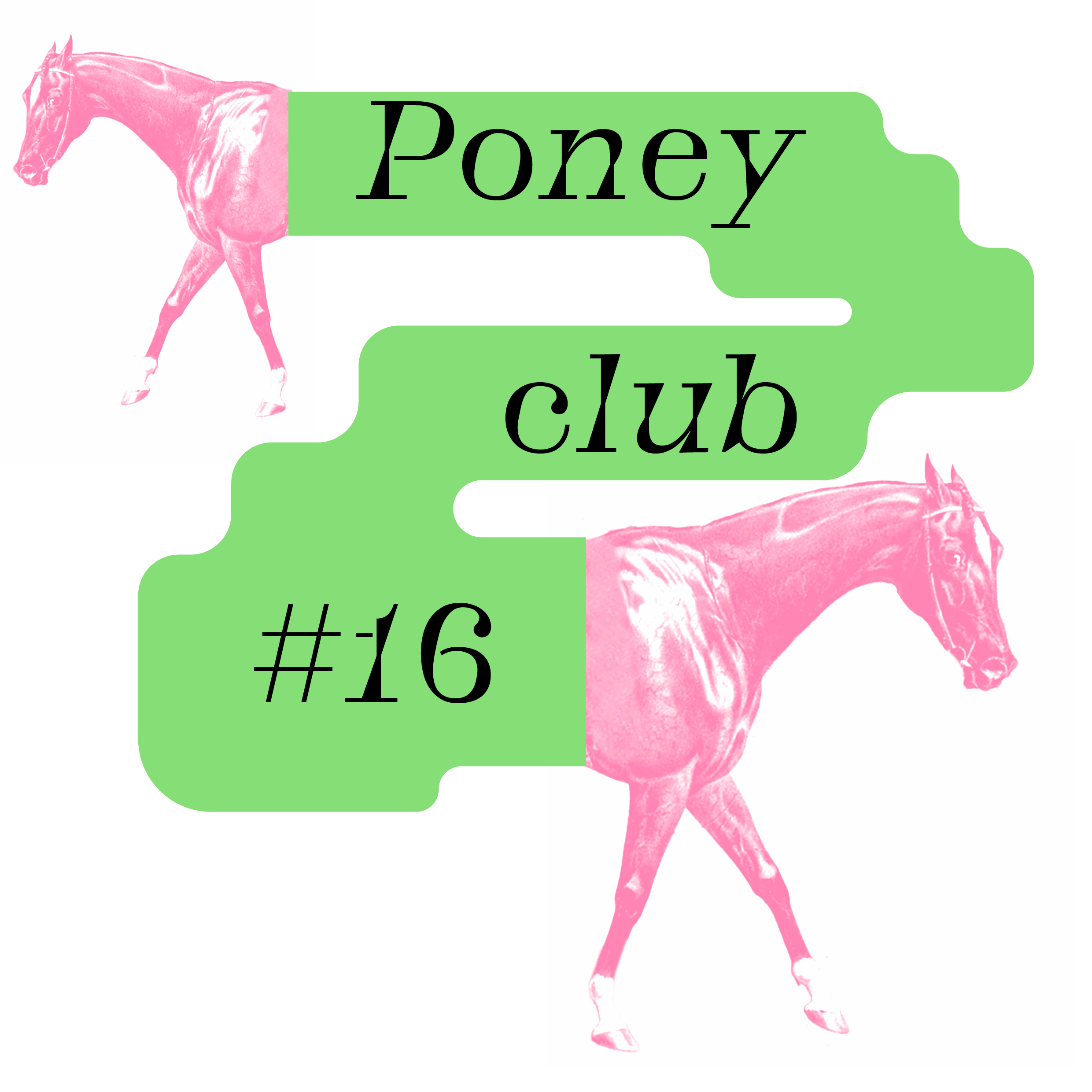 Poney Club #16 : Kriill, Zinda Reinhardt, Toro/Azor, 120 ZPL