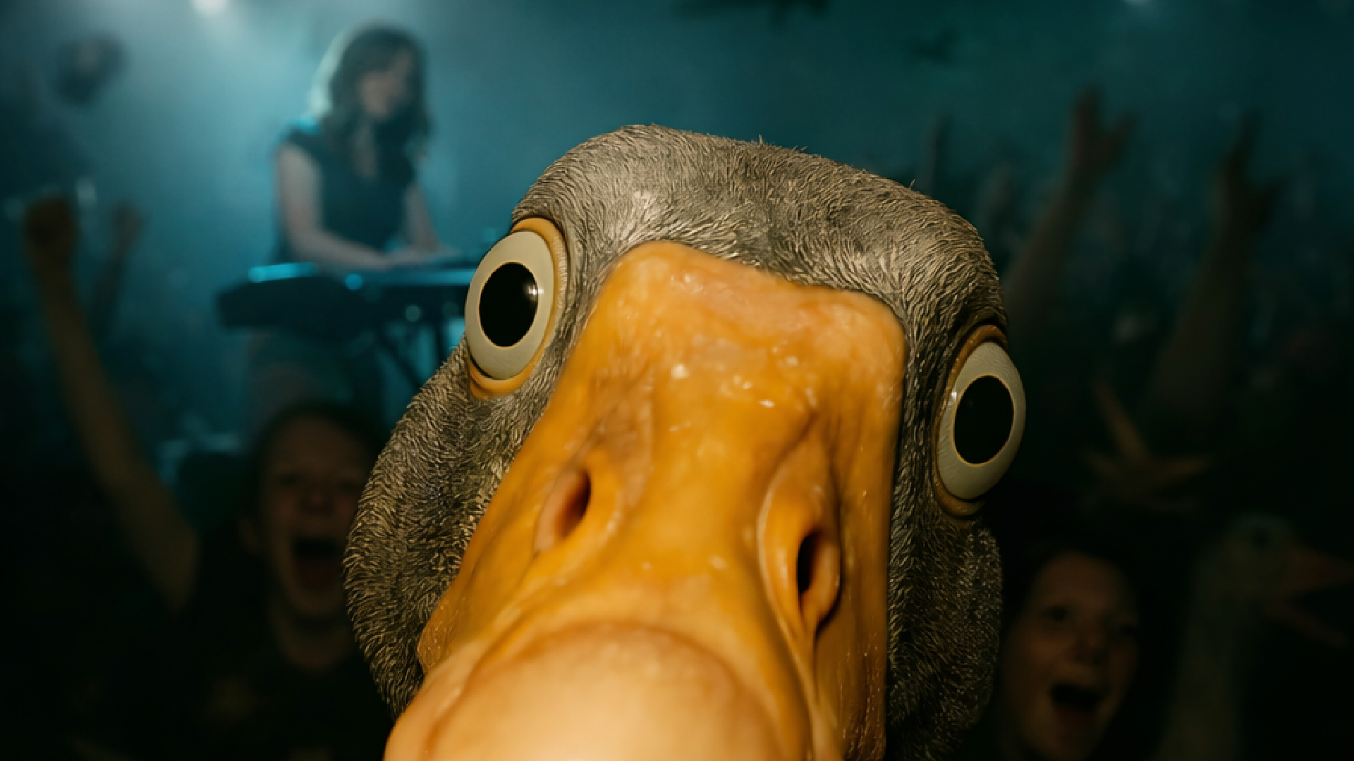 FESTIVAL : le Palmipède est de retour à Paul B !